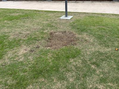 鮎壺公園芝生広場2