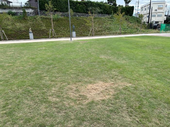 鮎壺公園芝生広場1