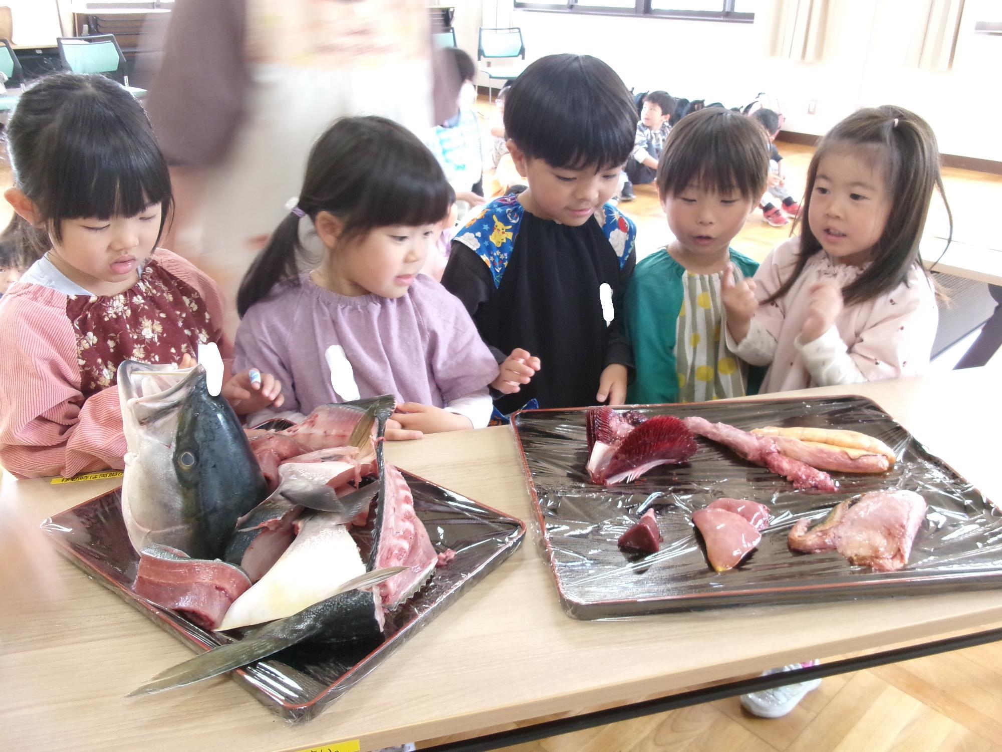 5歳児お魚教室