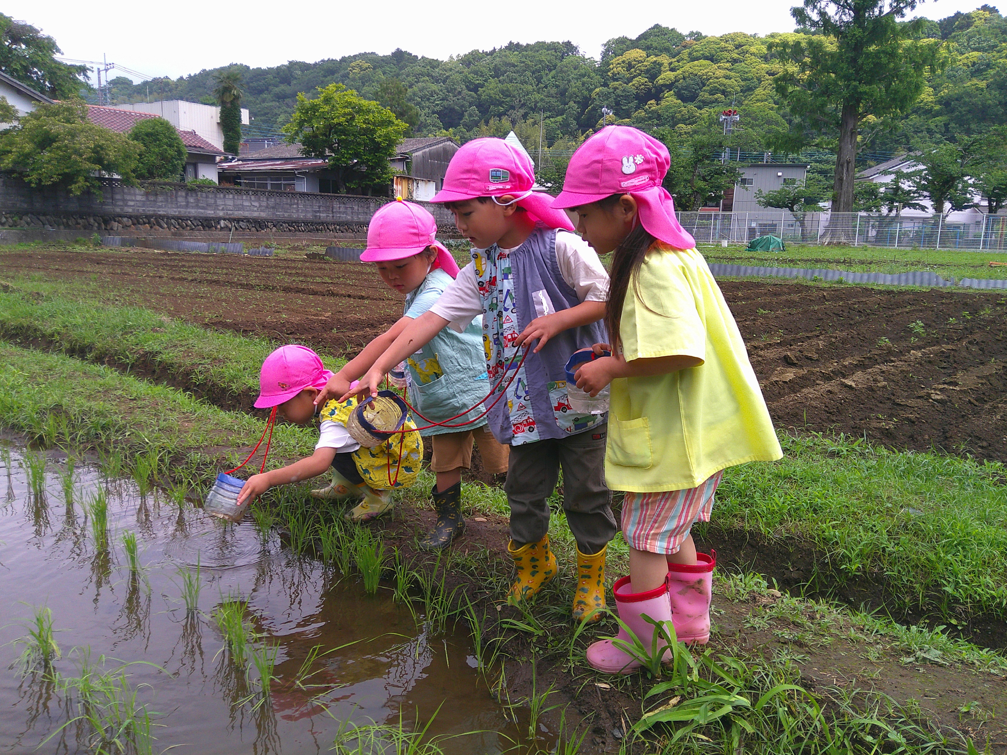 おたまじゃくしとり