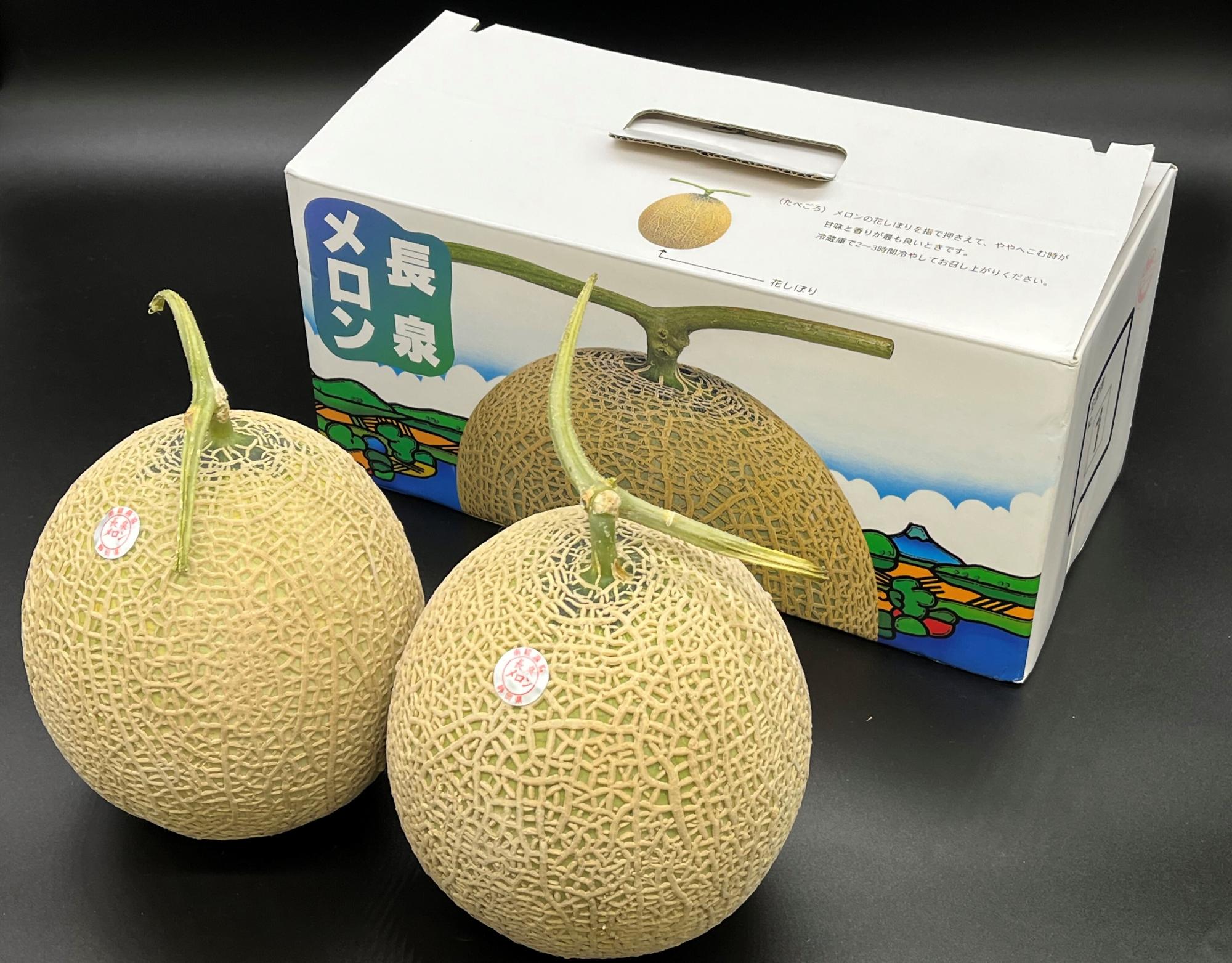 長泉メロン