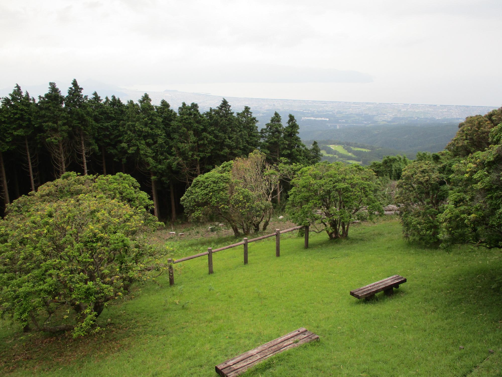 長泉町森林公園の風景
