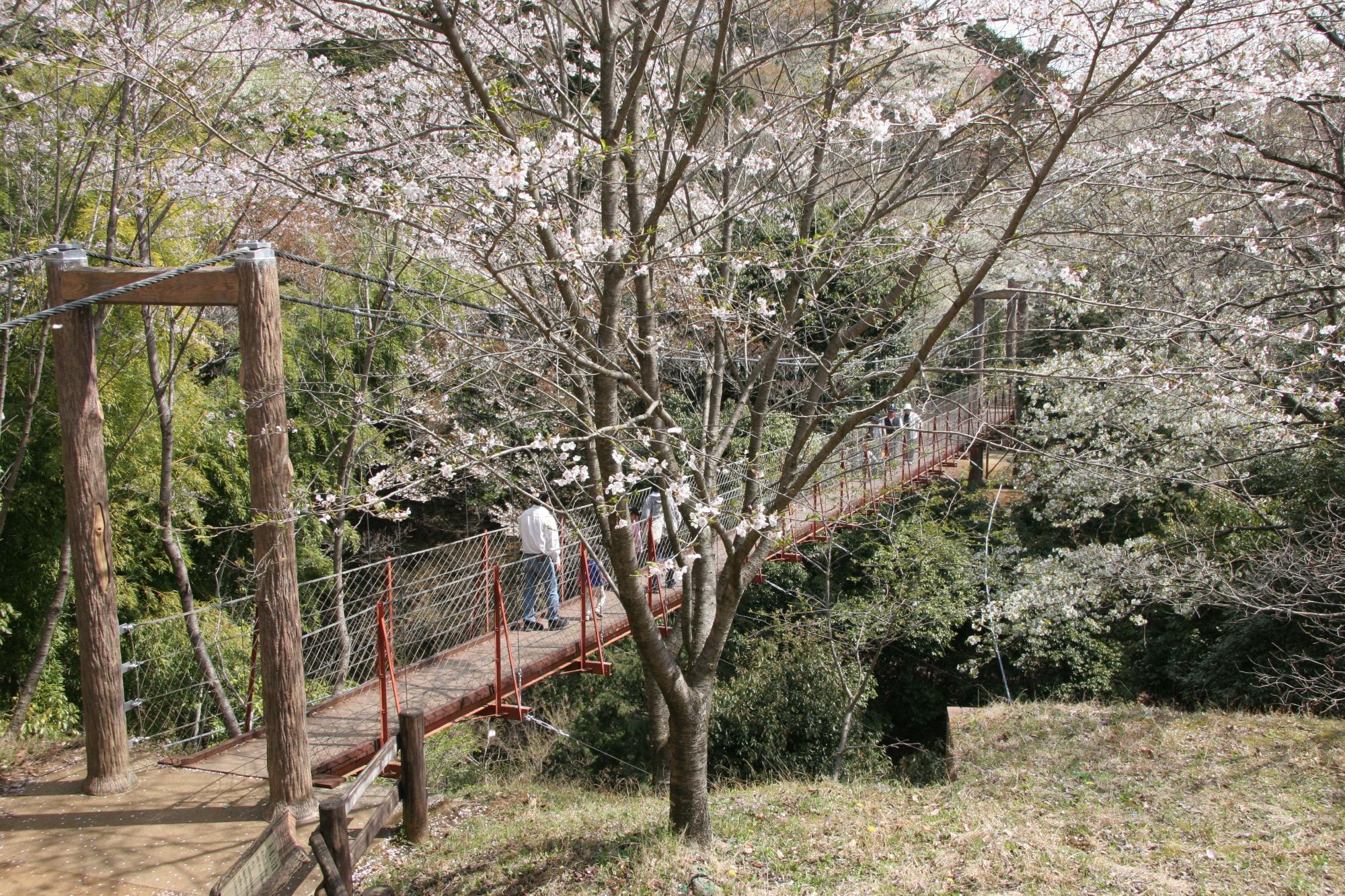 駿河平自然公園の風景