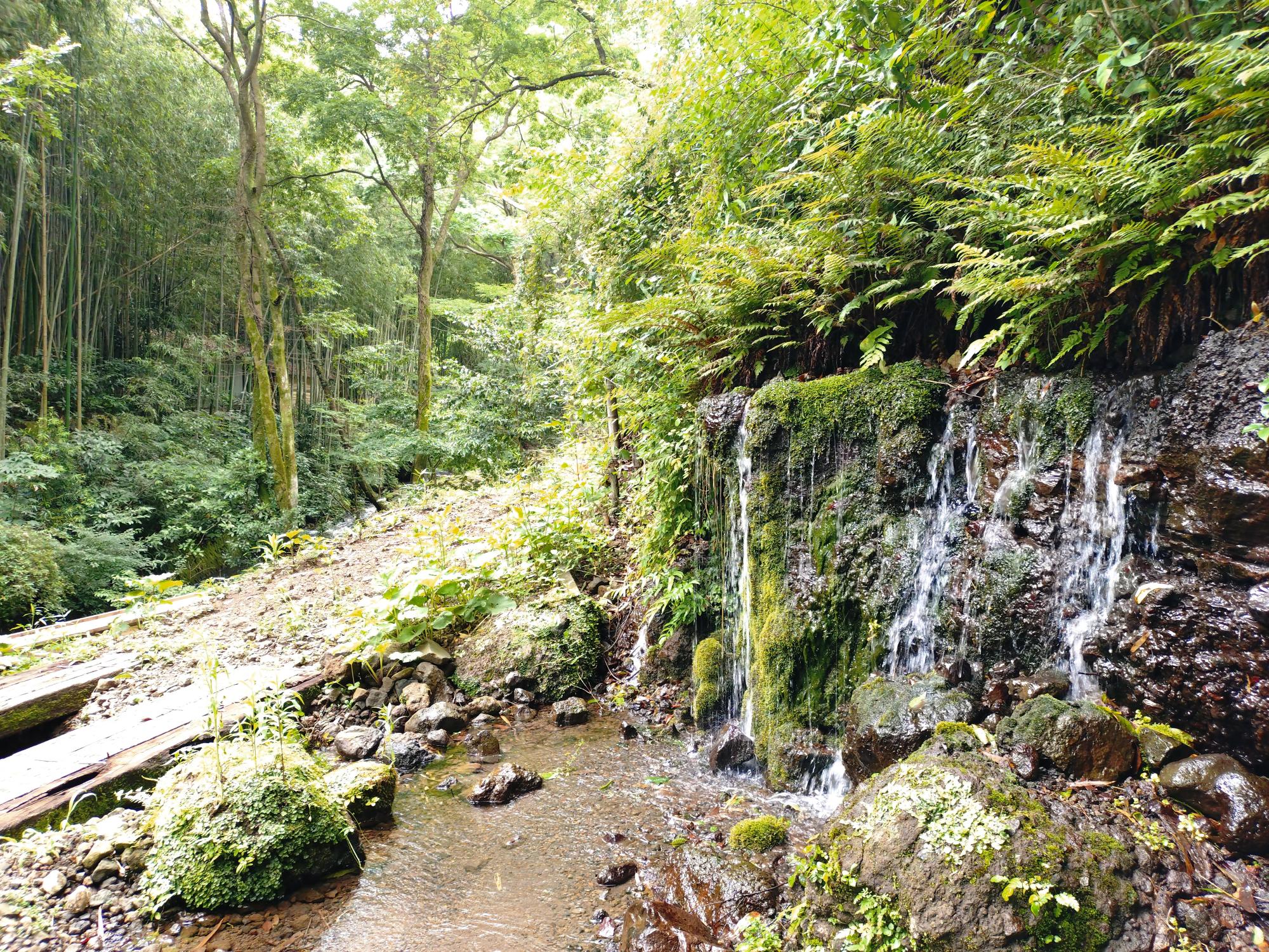 谷津の湧水