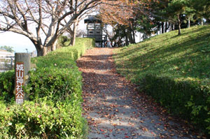 城山神社公園の風景